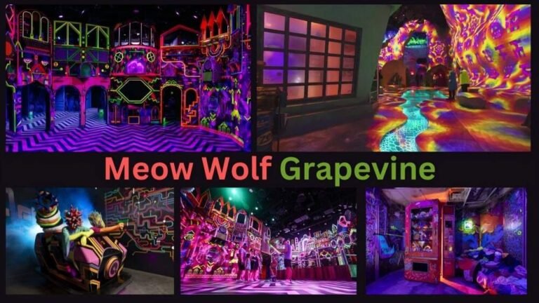 Meow Wolf Grapevine